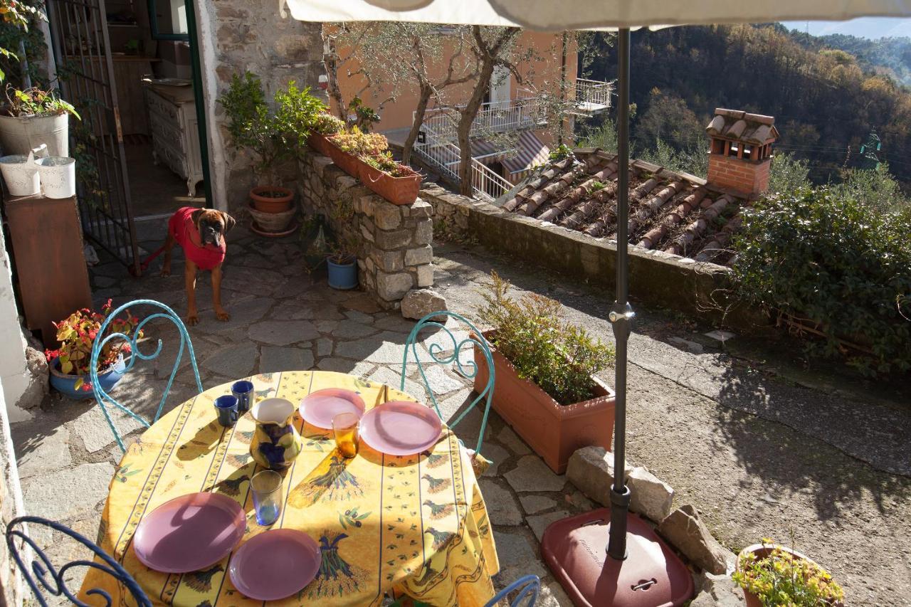 Chezcatherine Villa Sarzana Eksteriør billede
